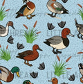 Ducks blue 25 PREORDER