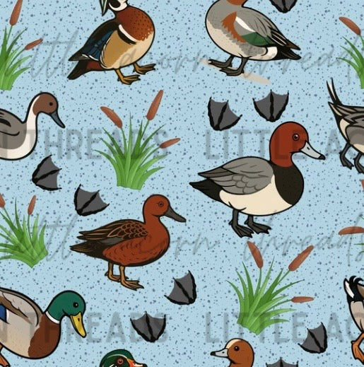 Ducks blue 25 PREORDER