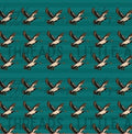 Mallard teal 33 PREORDER